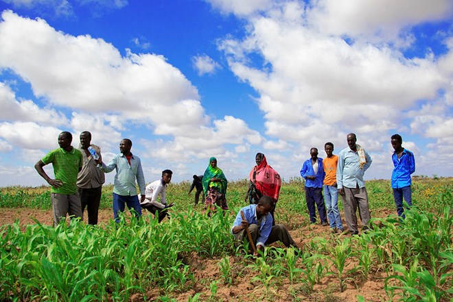 Somalia and FAO sign agreement to transfer data and analysis capability ...