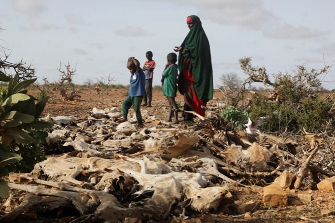 Somalia faces worst famine in half a century, UN warns